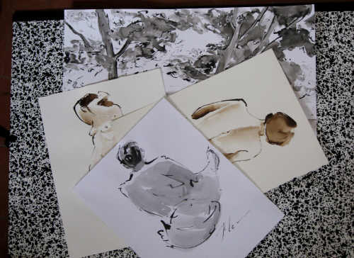 Images/dessins_010.jpg