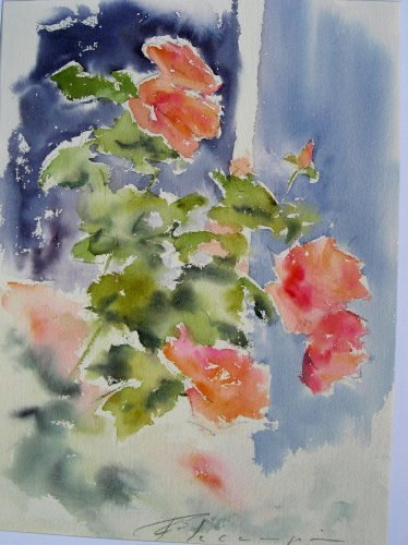 03roses_de_la_cour.jpg