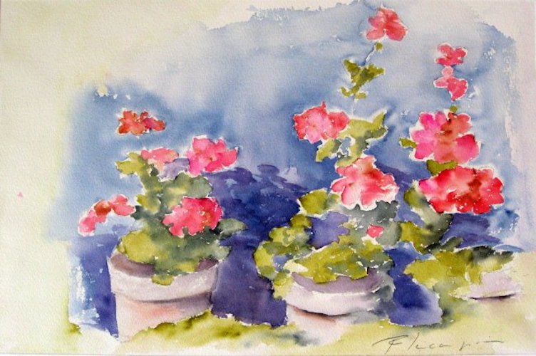 04geraniums.jpg