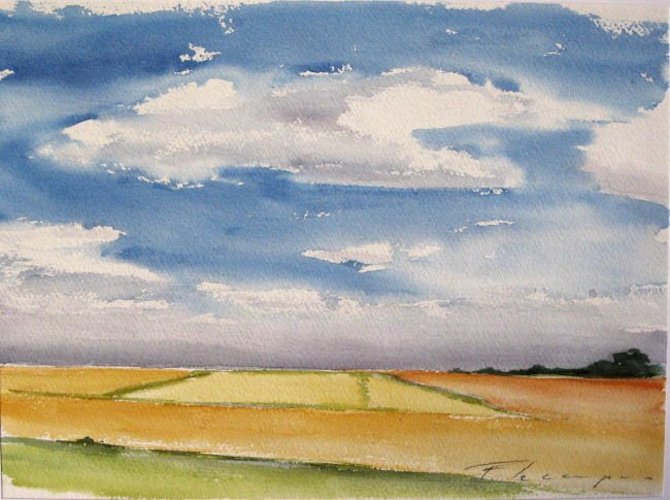 tournesols.jpg