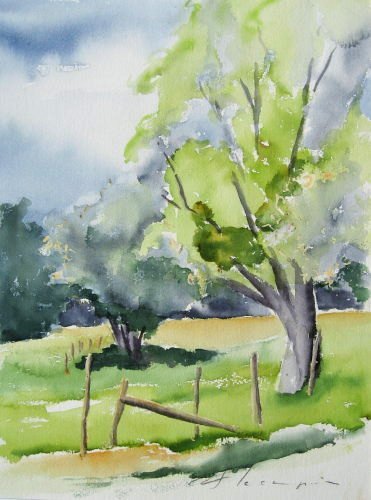 03pres_au_bord_de_l_eure.jpg