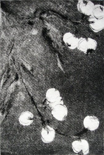 gravure_002.jpg